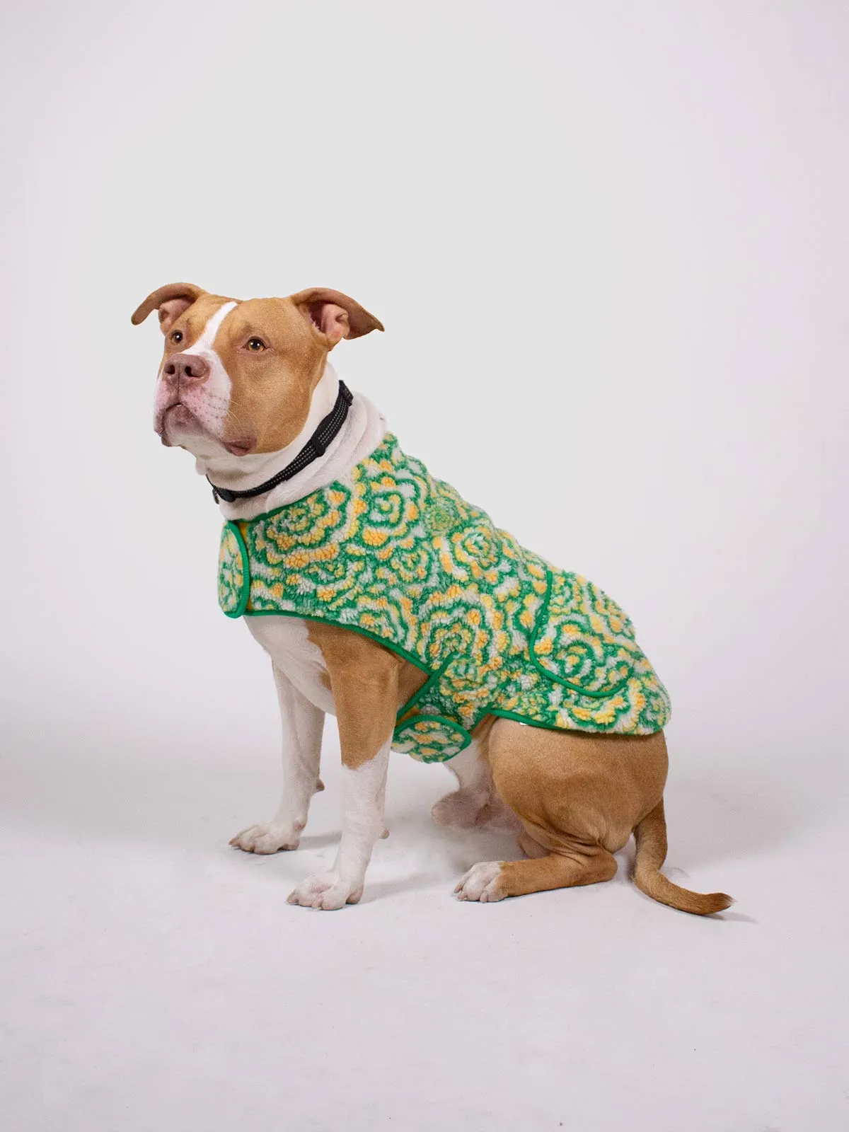 Broccoli Large Dog Fleece