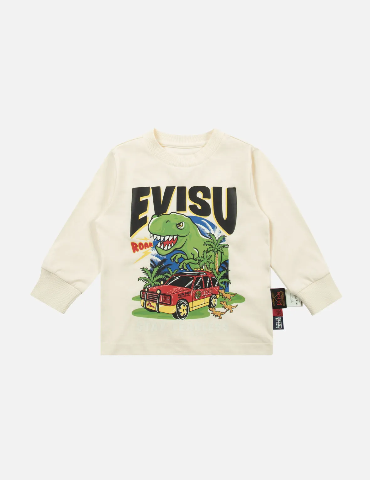 Dinosaur Print Regular Fit Sweatshirt