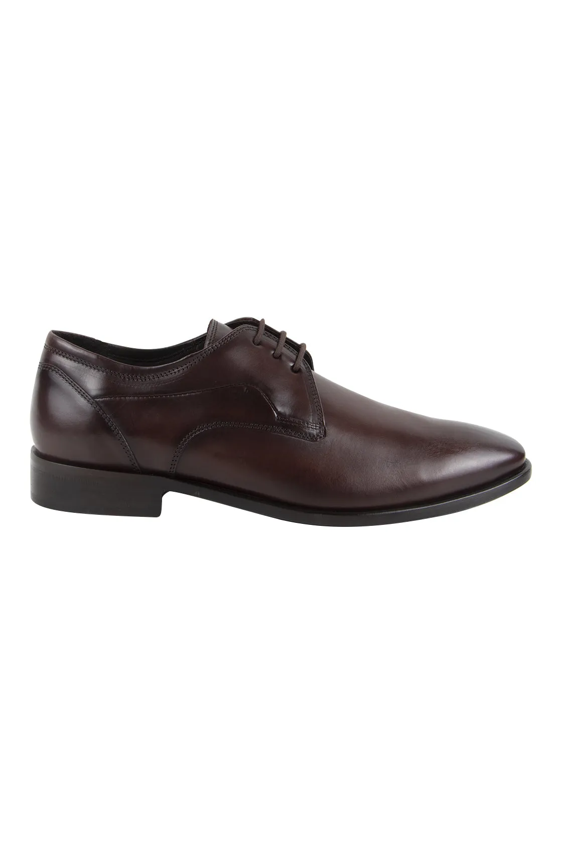 Galizio Torresi Derby Shoe Espresso