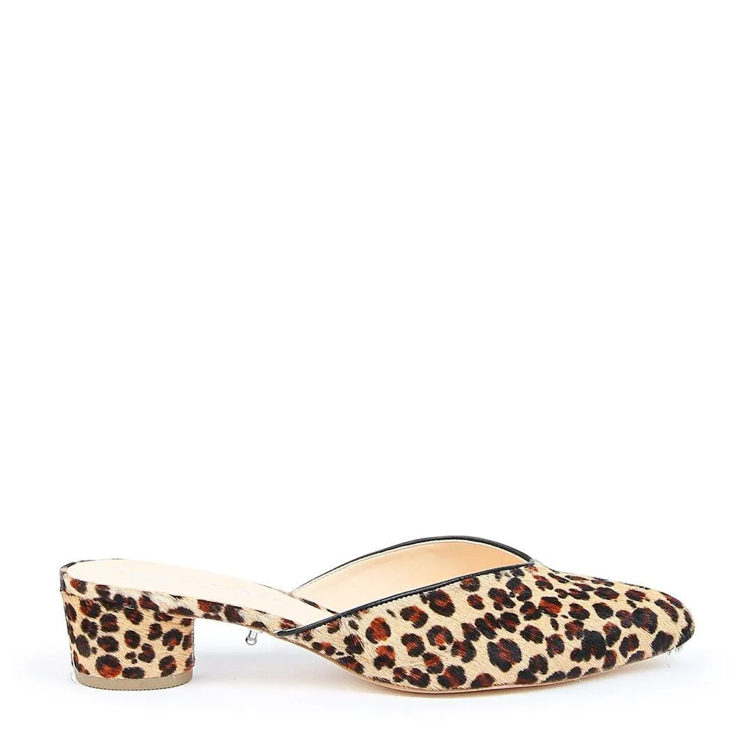 Leopard V Slide