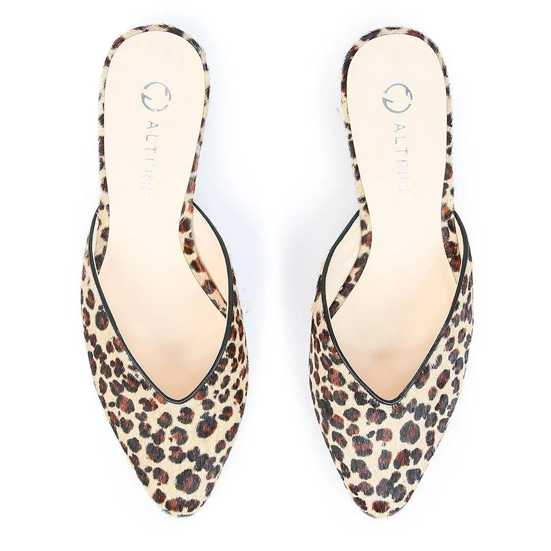 Leopard V Slide