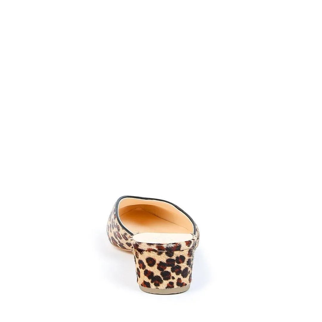 Leopard V Slide