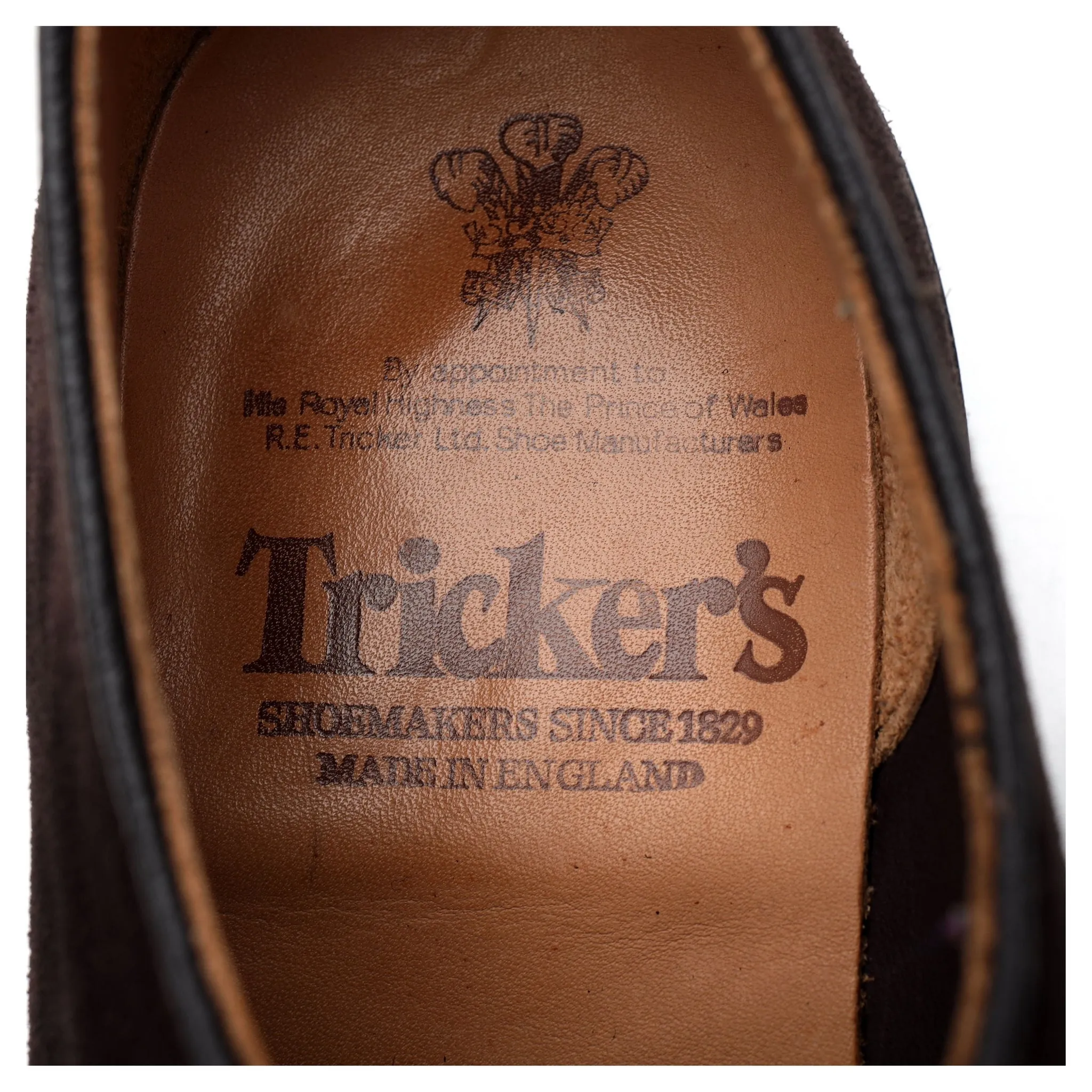 'Robert' Dark Brown Suede Derby UK 7