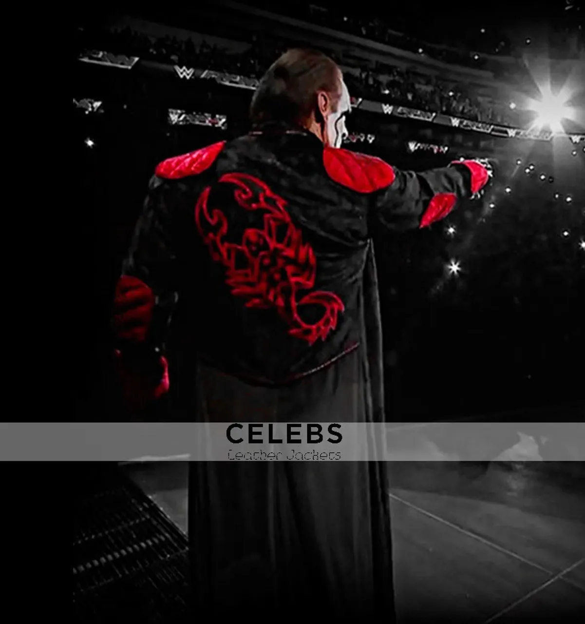 Sting WWE Long Coat