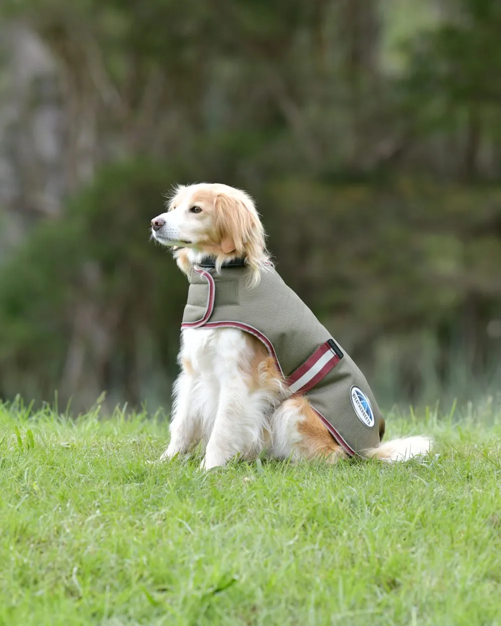 WeatherBeeta ComFiTec Premier Free Parka Dog Coat