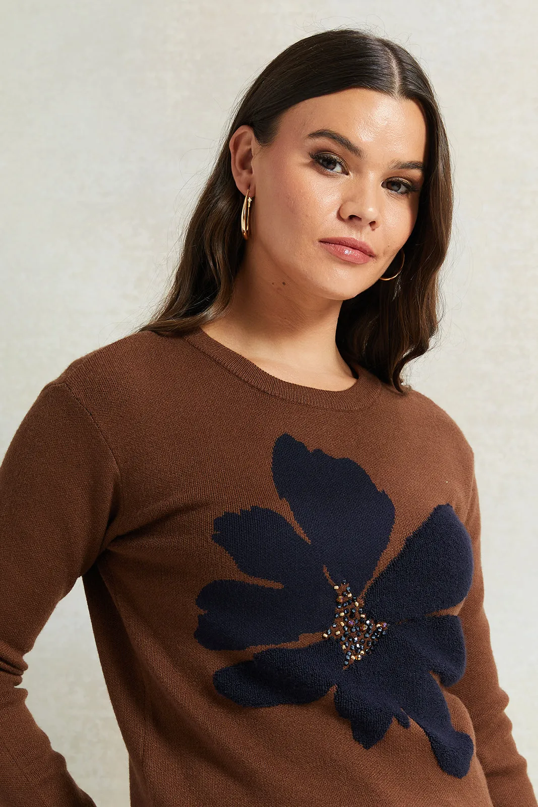 Women Brown Embellished Sweatshirt