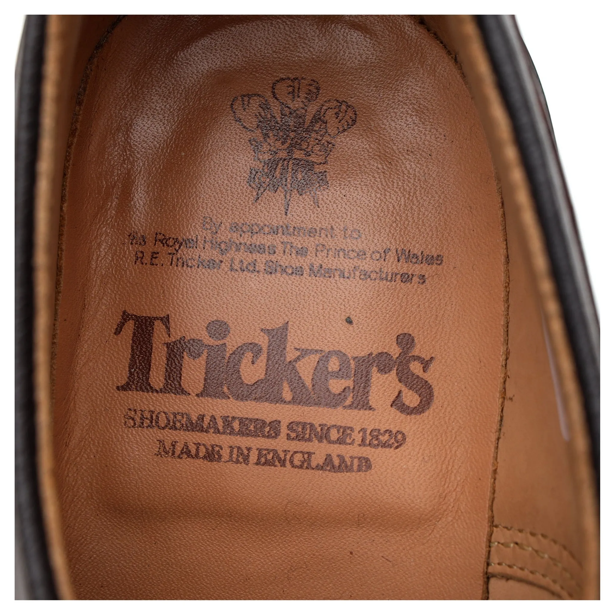 'Woodstock' Dark Brown Kudu Leather Derby UK 8